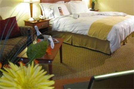 Charleston Airport Hotel North Charleston Pokoj fotografie